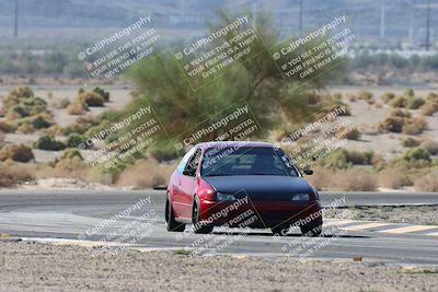 media/Oct-24-2025-Doghouse Garage (Fri) [[783d2ff07a]]/1-Advanced/Session 2 Turn 5 Tree of Life/